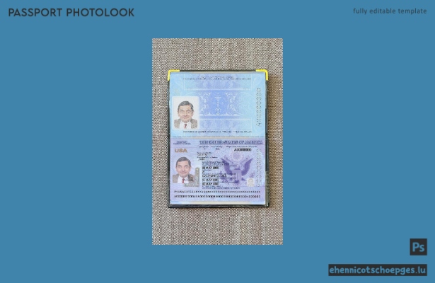 Vorschau des Passfotos für die USA (2020–2023)